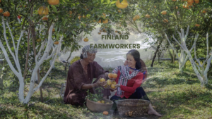 Jobs in Food Packaging in Finland With Sponsored Visas 2025