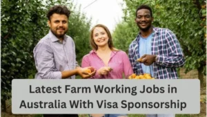 http://pakkalljob.com